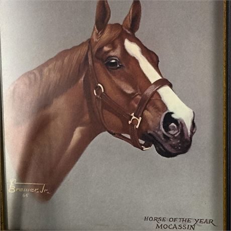 Vintage Framed Print of 1965 Horse of the Year