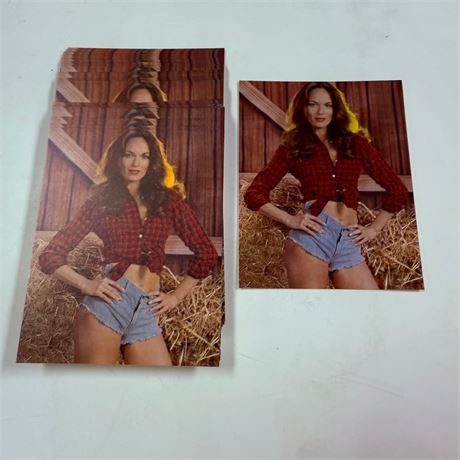 50 Vintage Exhibit Cards