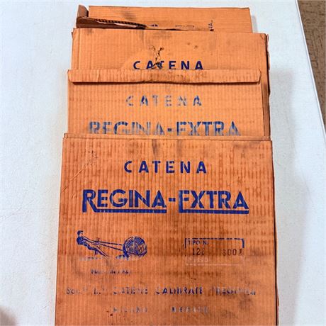 100 Feet NOS Regina Chain