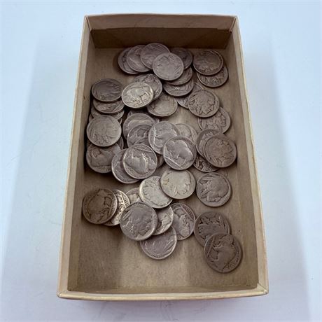 50 Unsearched Buffalo Nickels
