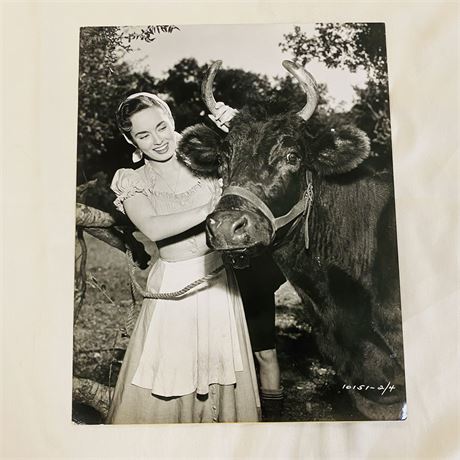 Ann Blyth Original Press Photo