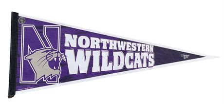 30” Wool Felt Northwestern Wildcats WinCraft Sports Pennant