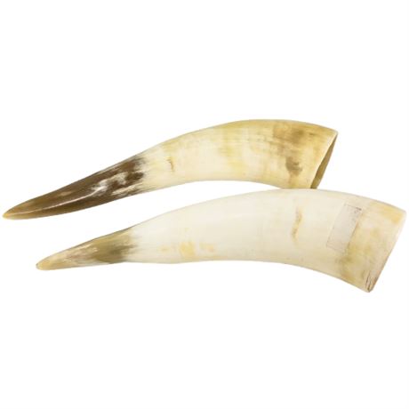 Pair Hollow Animal Horns (Not Powder Horns)