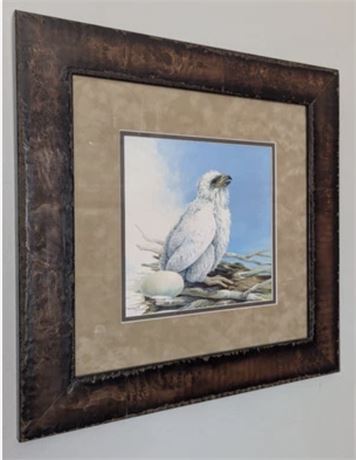 Framed Signed Numbered Print Eaglet Mario Fernandez Baby Eagle UV Protected