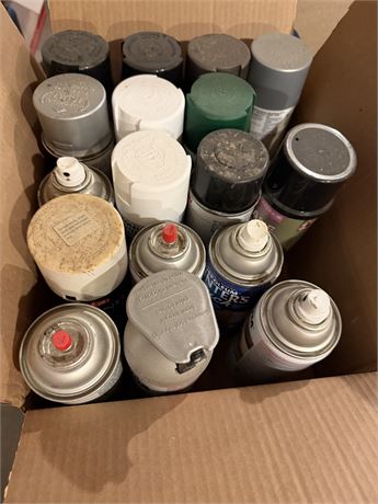 Box Lot of Spray Paint