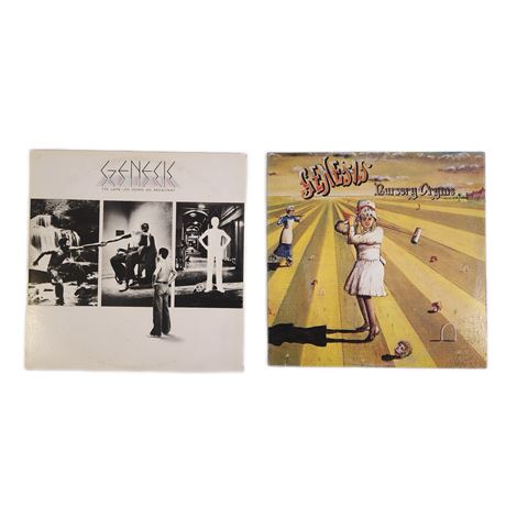 Vintage Vinyl Classic Rock Record Lot, 12"