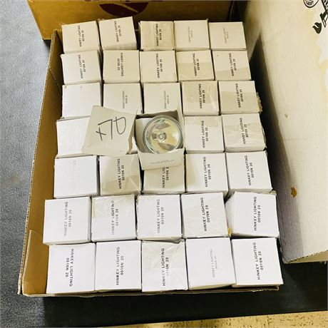 70 New Light Bulbs