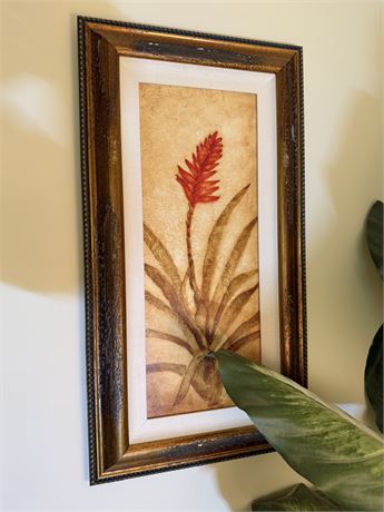 Bromeliad Picture By Tracy Barnum