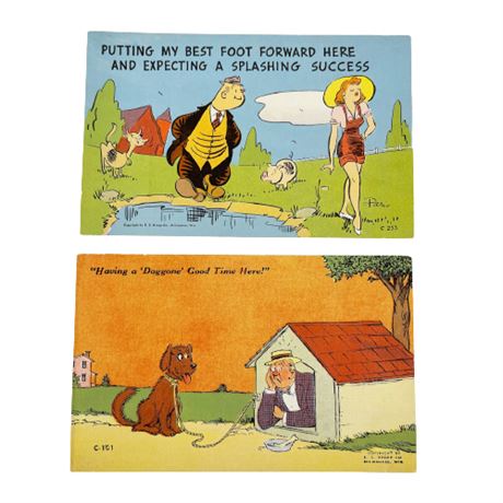 Lot of Vintage Color Litho Novelty Postcards- Wishful