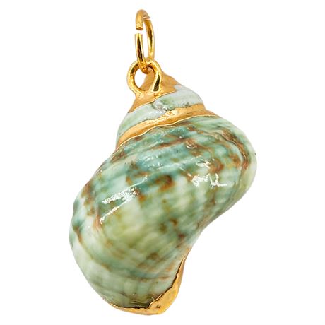 Vintage Gold Accented Natural Seashell Pendant