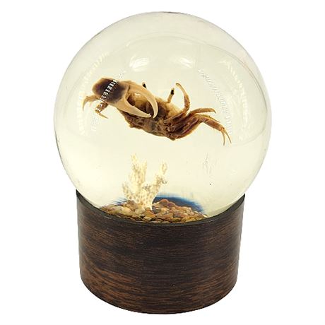 1960s Nature Gems Educational Embedments Fiddler Crab Paperweight