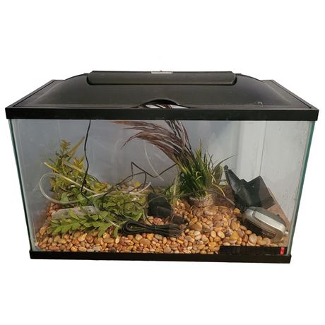 Aquatic Fish Tank