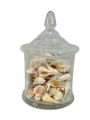 Apothecary Jar Full of Seashells