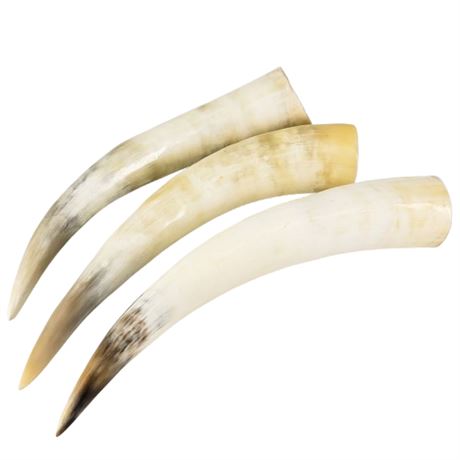 Lot of 3 Hollow Animal Horns (Not Powder Horns)