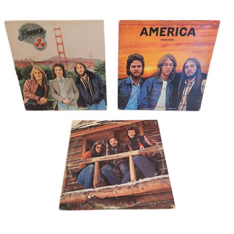 Vintage Vinyl Classic Rock Record Lot, 12"
