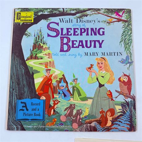 Sleeping Beauty Vinyl Record