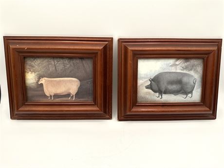 Pig and Sheep Prints