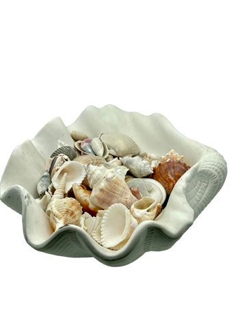 Clamshell Vase Full of Seashells