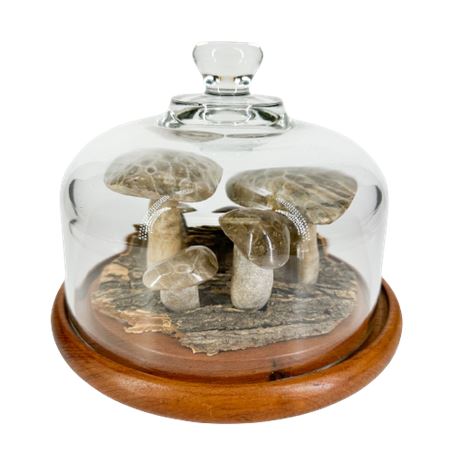 Petoskey Stone Mushroom Display