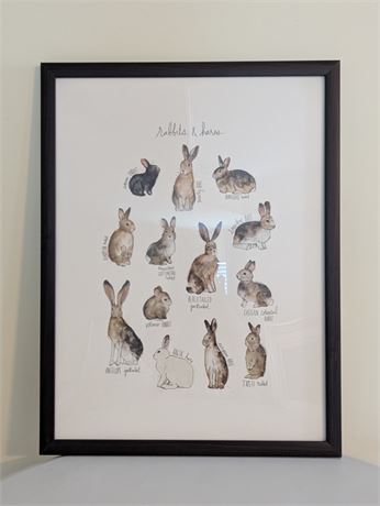 Rabbits and Hares Framed Print