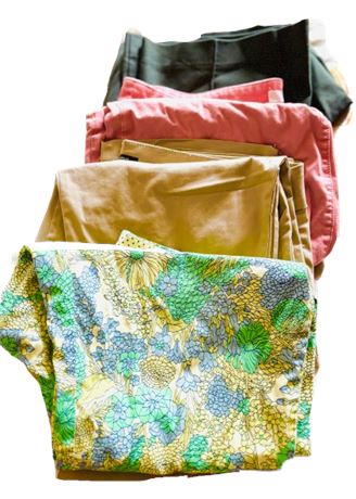 Women's Clothing Lot - Pants & Shorts