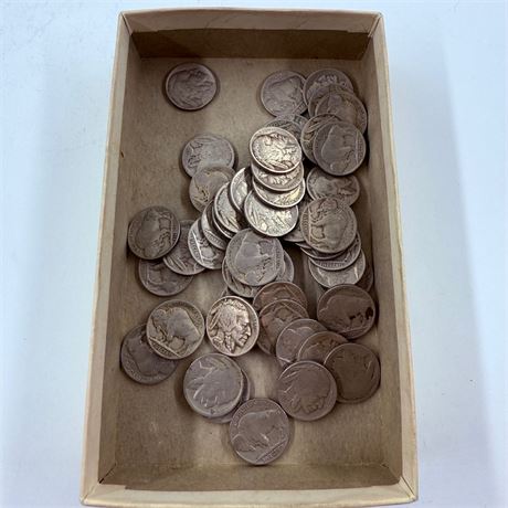 50 Unsearched Buffalo Nickels