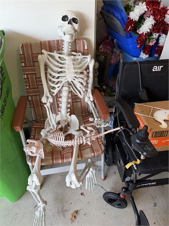 Skeleton