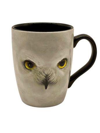 Hedwig Owl Harry Potter Mug