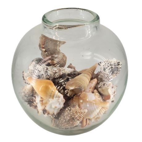 Glass Fish Bowl w/ Assorted Sea Shells