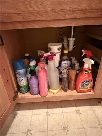 Cleaning Supplies & Miscellaneous