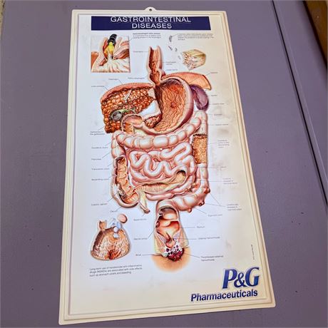 Gastrointestinal Diseases Hospital Display Sign