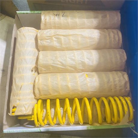 12 NOS Fork Tube Springs