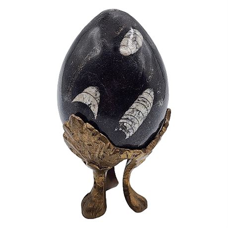 Orthocera Fossil Egg w/ Stand