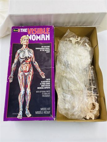 1970’s Revell The Visible Woman Anatomical Model