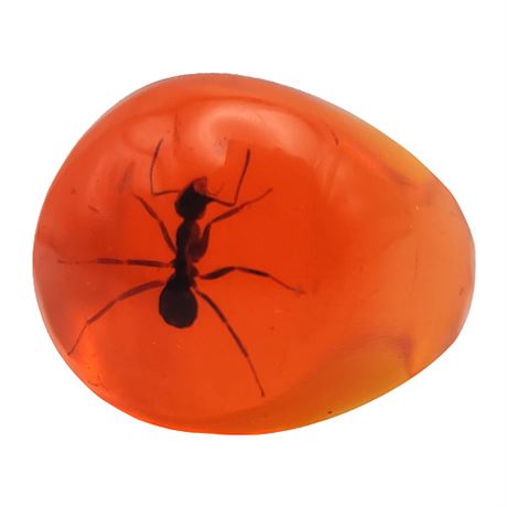 Orange Lucite Ant Dome Ring, Sz 8.5