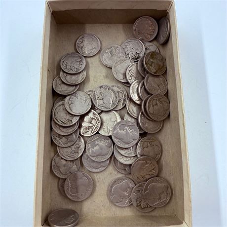 50 Unsearched Buffalo Nickels