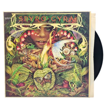 1979, Spyro Gyra "Morning Dance"