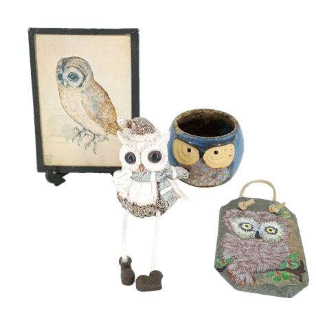 Owl Lot - Picture, Planter, Slate and Decor