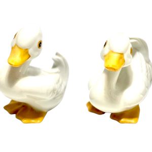 LotImage