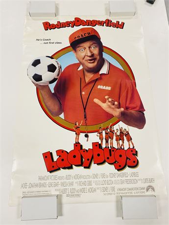 Ladybugs Original DS 27x41 Movie Poster - Rolled