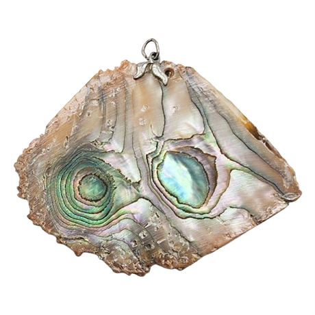 Large Vintage Abalone Shell Slice Pendant
