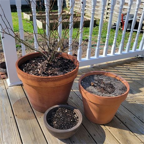Planters, Lot of 3