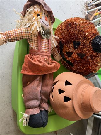 Scarecrow & Pumpkins