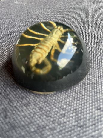 Loose scorpion paperweight