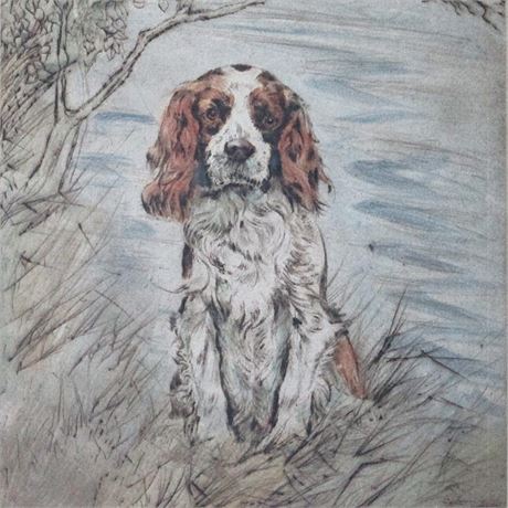 Henry Wilkinson Signed SPRINGER SPANIEL Framed Limited Edition Colored Etching