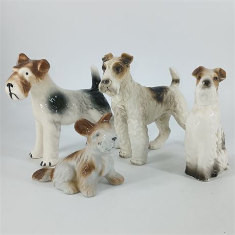 Fox Terrier Collection, Set of 4