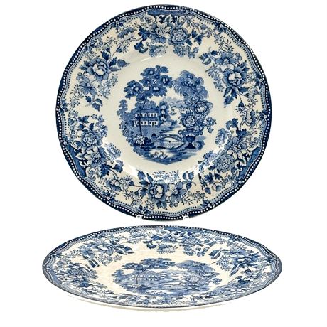 Pair of Vintage Royal Staffordshire "Tonquin" Ironstone Bread Plates