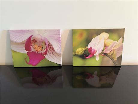Pr. of Flower Pictures