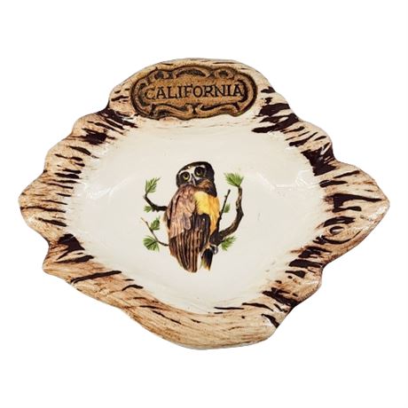 Vintage Treasure Craft Ceramic Owl California Souvenir Ashtray