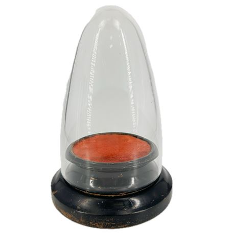 Antique Glass Cloche on Wood Base with Velvet Lining